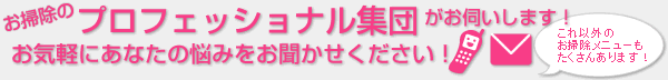 子供とペットに安全なワックス使用